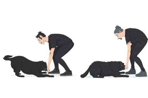 how to teach a dog lay down