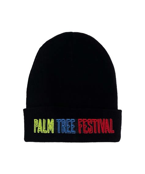 palm tree festival aspen 11