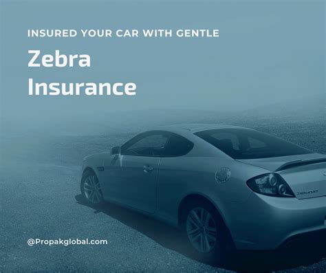 Best The Zebra Insurance Quote 2022 - propakglobal