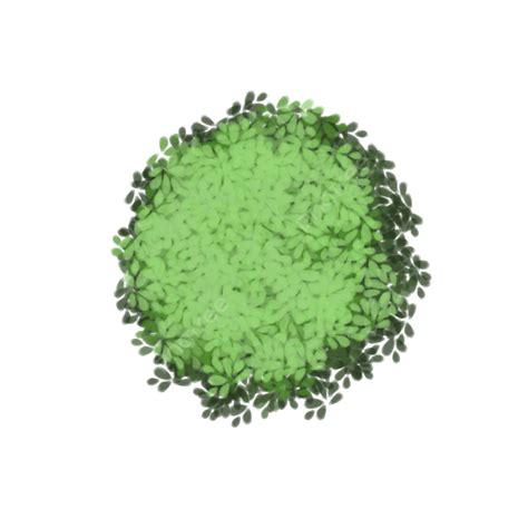 Green Bushes Design Plant Bush Green PNG Transparent Clipart Image