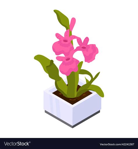 Flower pot Royalty Free Vector Image - VectorStock