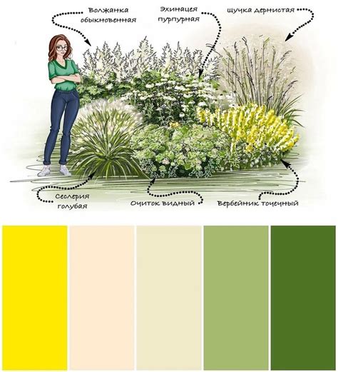 Альбом готовых решений композиций цветников | Композиции цветников ...