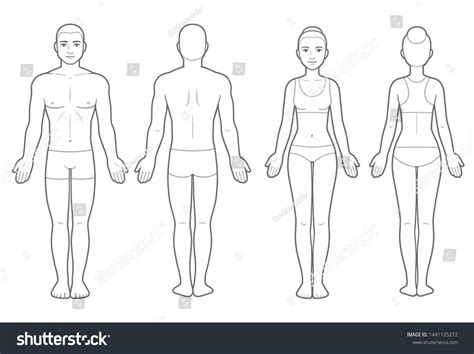 Printable Outline Of Female Human Body Front And Back Printable Word