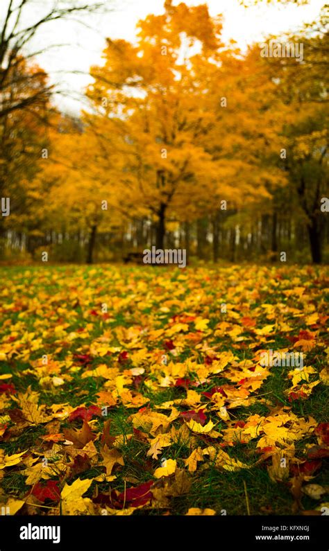 fall  pennsylvania stock photo alamy