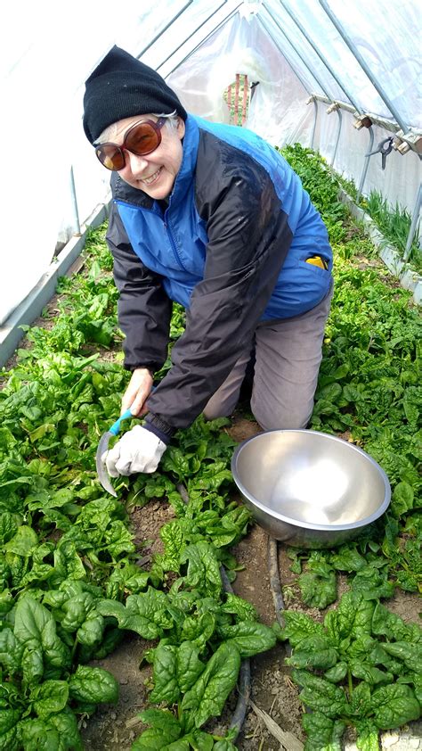 Hope For A Better Food System