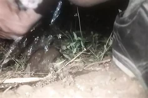 Bm Brilliant Gay Amateur Amateur Porn Feat Frozenopenair By Faphouse Xhamster