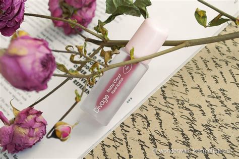 Жидкая матовая помада Divage Matte Cloud Liquid Lipstick 06 All Day ...