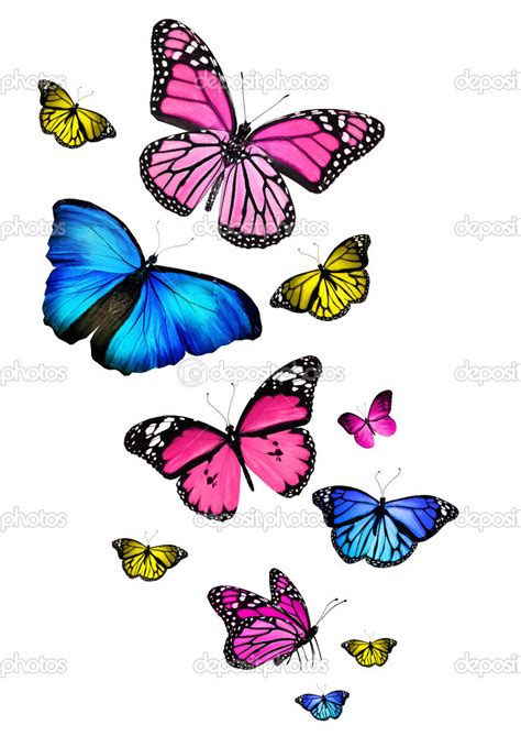 Mariposas Volando Dibujos