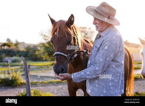 Farmer Feeding Horse At Farm Stock Photo Alamy