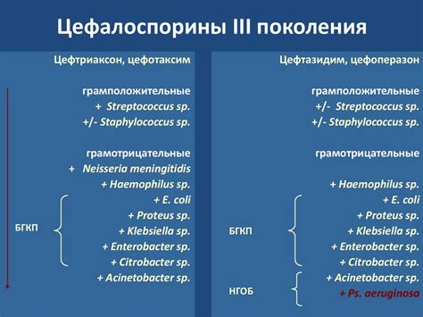 First Generation Cephalosporin Antibiotic