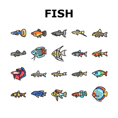 Premium Vector Aquarium Fish Tropical Animal Icons Set Vector