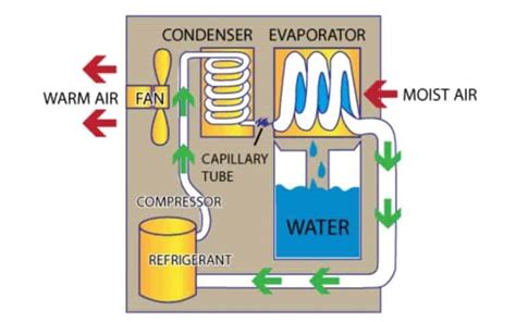 Frigidaire Dehumidifier F0 Code Troubleshooting Guide How To Fix It