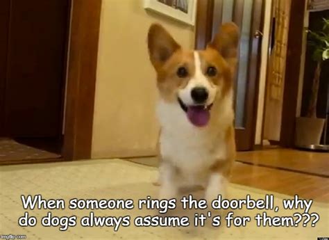 Assume Memes And S Imgflip