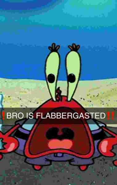 Mr. Krabs Is Flabbergasted | Bro Is Flabbergasted | Know Your Meme