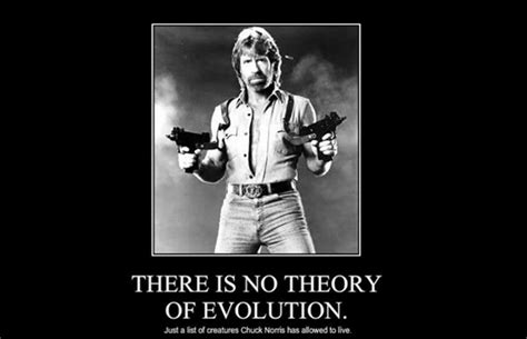 Bruce Lee Chuck Norris Meme - 49+ Koleksi Gambar