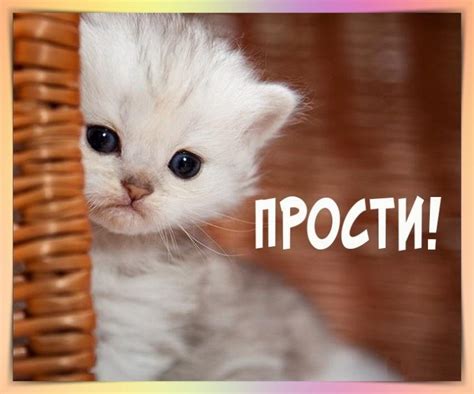 Красивые картинки с надписью - Прости меня (50 картинок) 🤣 WebLinks