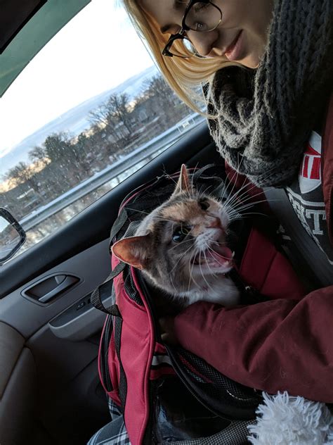 Best Roadtrip Images On Pholder Roadtrip Earth Porn And Aww