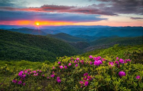 Ridgeline To Coastline The Ultimate North Carolina Road Trip Itinerary — The Outside Insider