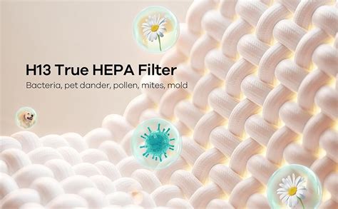 WELOV P100 Mini H13 True HEPA Filter