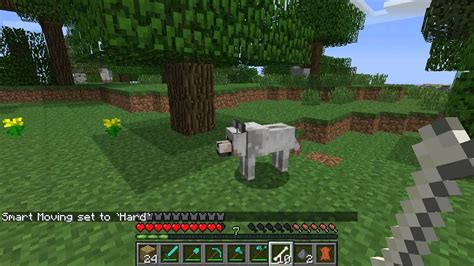 Как приручить волка в Minecraft - YouTube