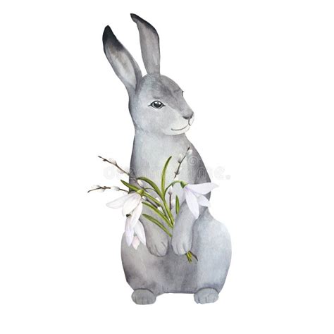 Watercolor Illustration Of Cute Easter Rabbit With Bouquet Of Snowdrops And Pussy Willow Stock