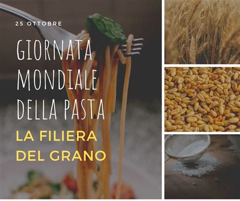 W La Pasta La Filiera Del Grano