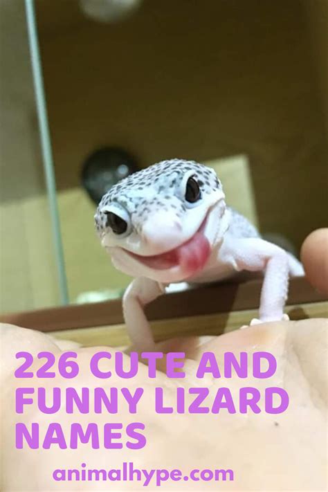 26 Cute and Funny Lizard Names for Your Scaly Pal