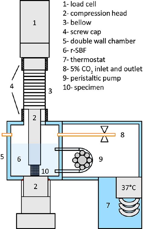 Corrosion Fatigue Test Setup Reproduced With Permission From Reference
