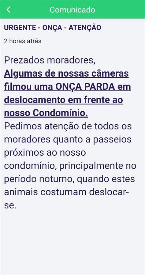 Onça parda passeia em frente a condomínio de Nova Lima na Grande BH