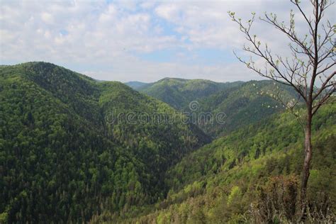 Slovak Paradise National Park Slovakia Stock Photo Image Of View