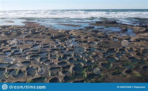 Eroded Tide Pool Rock Formation in California. Littoral Intertidal ...