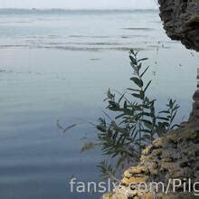 Cinderella Girl Nude OnlyFans Leaks 2024 Fapopedia