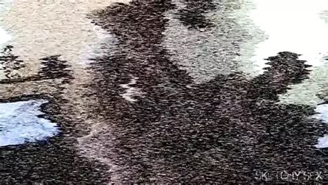 Ss Cum Fuck Me Xhamster