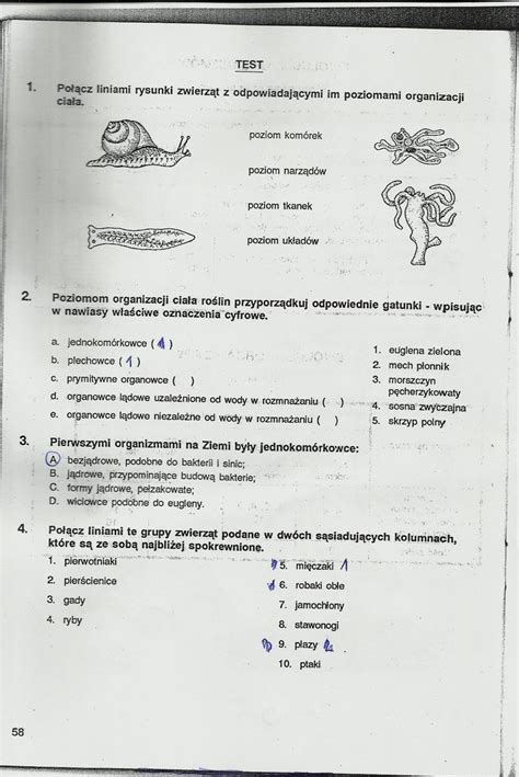 Sprawdzian Klasa 6 Biologia Dział 1 Margaret Wiegel