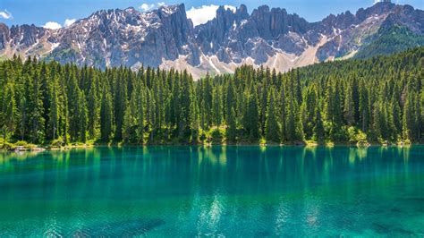 Lago En Bosque Al Atardecer Fondo De Pantalla 4k Ultra Hd Id6692 Images