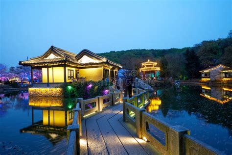 Night Sakura With Colorful Lights The Turtle Head Park Wuxi Jiangsu