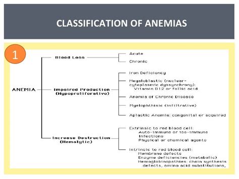 Anemia Classification