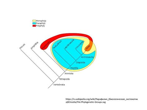 Три домена жизни. Происхождение жизни. От туманности до клетки ...