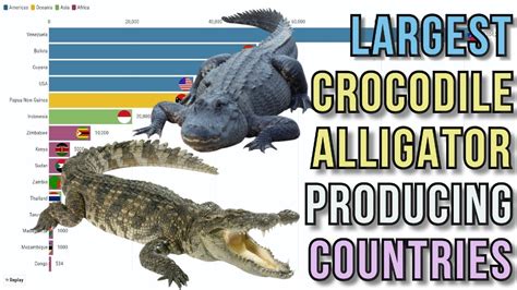 Lolong Size Comparison