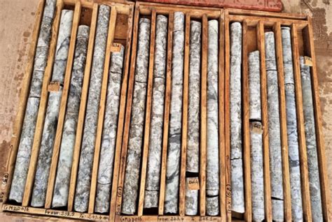 Leo Lithium Roars With Further Positive Drilling Results At Goulamina