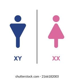 Gene Determination Sex Images Stock Photos Vectors Shutterstock