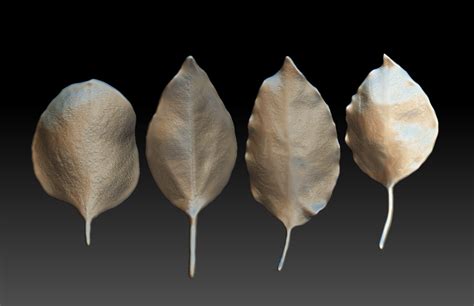 Artstation Leaf 3d Model Leaf Brush Zbrush Brush 3d Printed Leaves