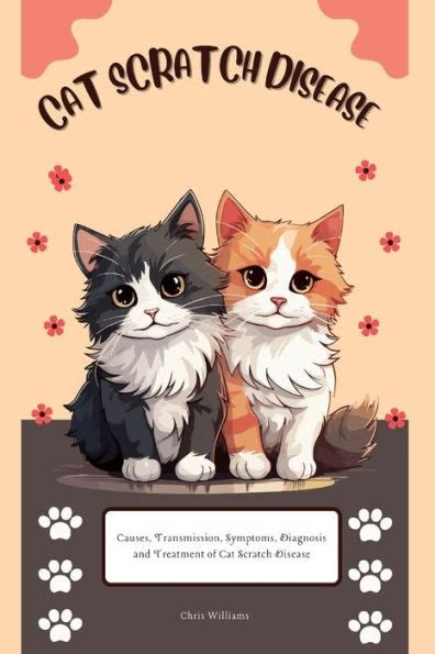 Cat Scratch Disease Causes Transmission Symptoms Diagnosis And