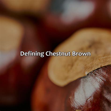 color  chestnut brown colorscombocom