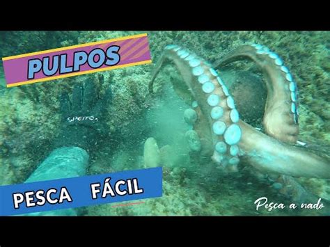 Pesca Submarina Pesca Los Pulpos Facil Consejos Youtube