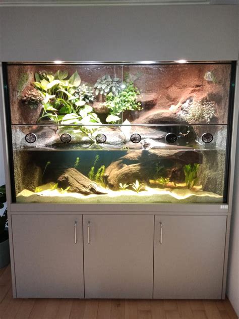 Aquaterrarium Paludarium F R Krokodilschwanzechsen Rotaugen