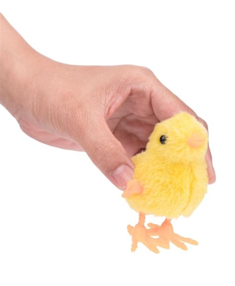 Premium Photo Hand Holding Toys Chicks Isolated On White Background