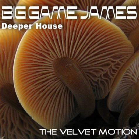 Amazon Music Big Game Jamesのthe Velvet Motion Jp