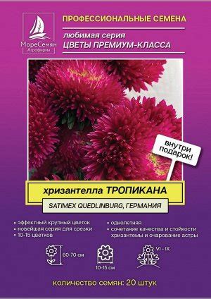 Хризантелла ТРОПИКАНА Callistephus chinensis Tropicana 20 шт. Семена ...