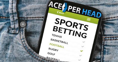 What Is Pay Per Head Bookie Guide Professional Sportsbook Software